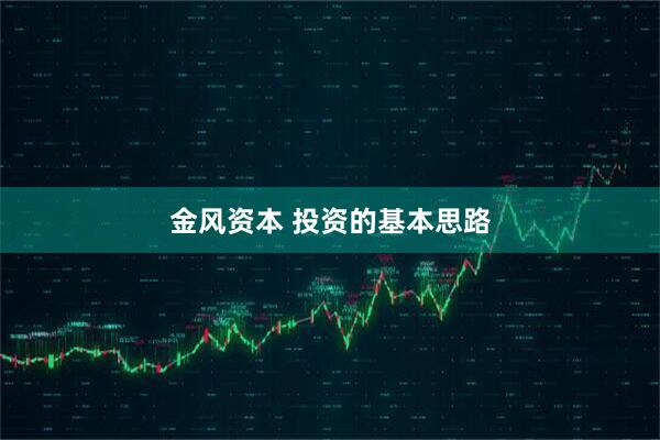 金风资本 投资的基本思路